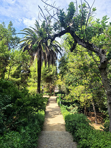 Path to the Palms