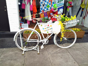 The West Village Bike