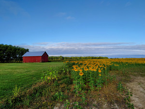 Barn & Blossoms
