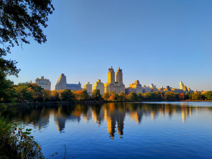 Urban Calm: Central Park View