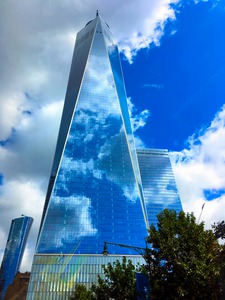 Reflection of Freedom