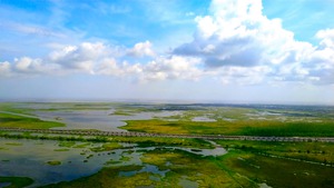 New Orleans from the Sky