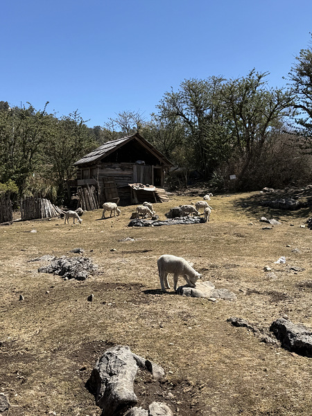 IMG 9504 Digital Download