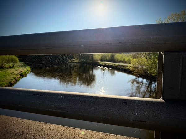 Spider Web on Bridge at Sunrise – Nature Framed in Stillness 1 Print