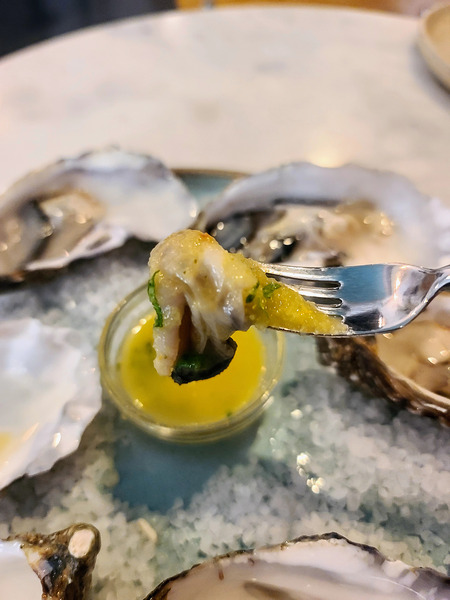 Elegy in Shell Minor Digital Download