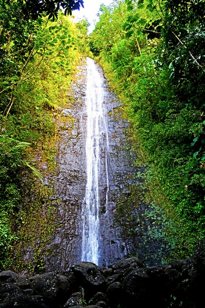 Falling for Colors B Digital Download