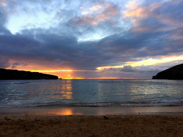 Paradise Found Print