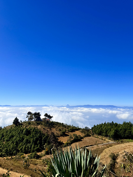 IMG 9129 Digital Download