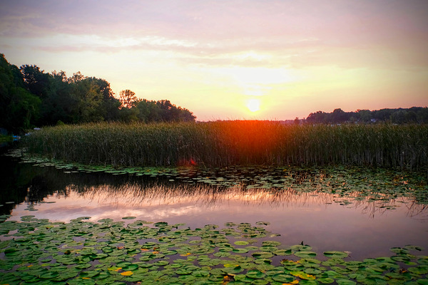 Over Lilyglass Waters: A Dawn Reawakens Digital Download