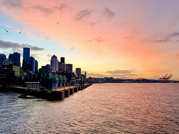 IMG 7957 Digital Download