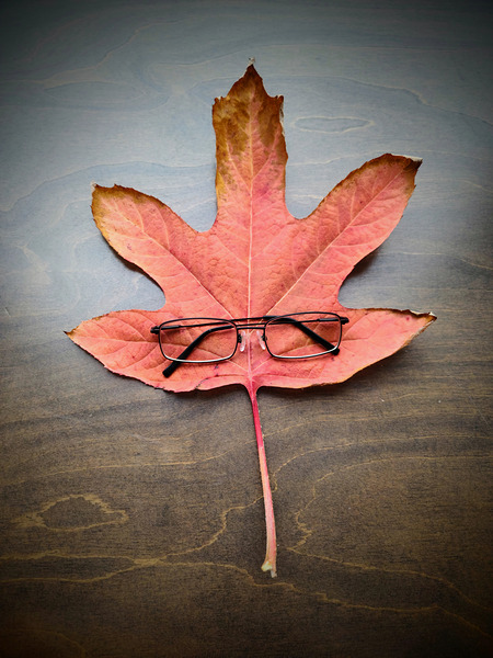 Losing Sight of Fall Print