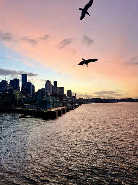 IMG 7958 Digital Download