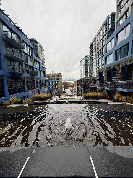 IMG 8437 Digital Download