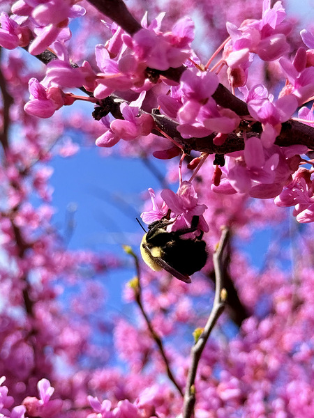 The Spring Shift Print