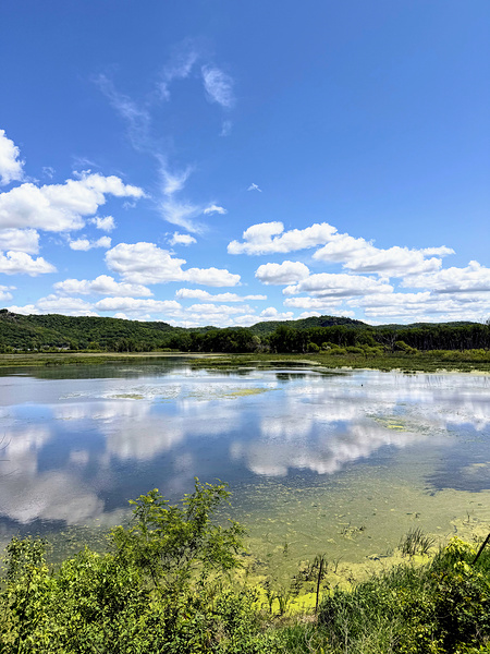 Whispers on the Water: A Mirror of the Skies Digital Download
