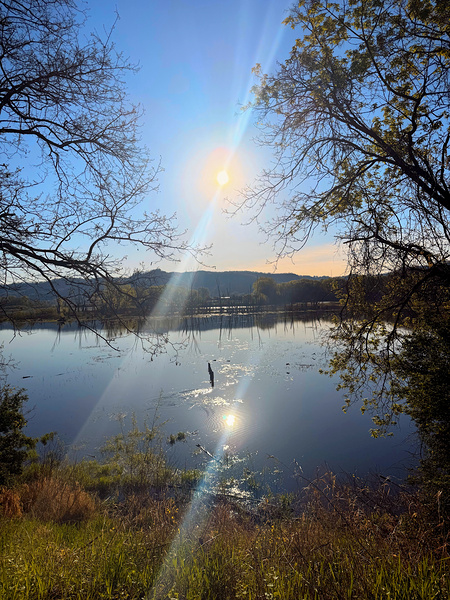 Reflections of La Crosse Print