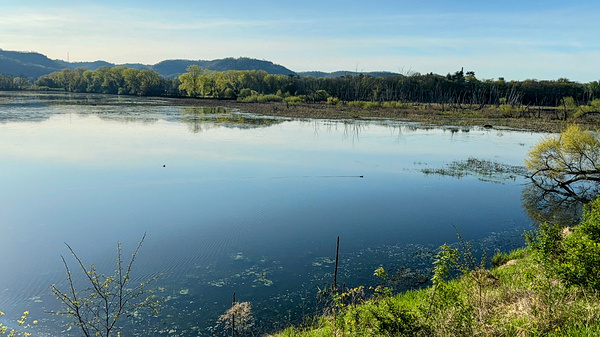 Serene Lakeside View with Forest and Hills Print