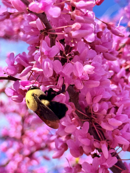 IMG 1670 Digital Download