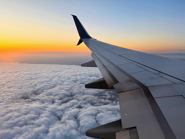 Pillowalk over San Francisco-Spring 2025 Print