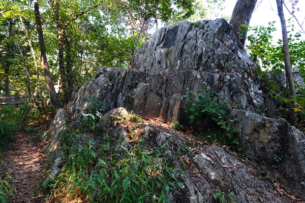 Just Rocking Life  Print