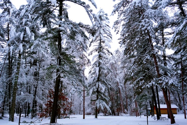 Winter Wonderland  Print