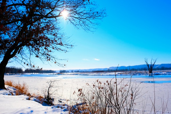 Winterscape 2B Digital Download