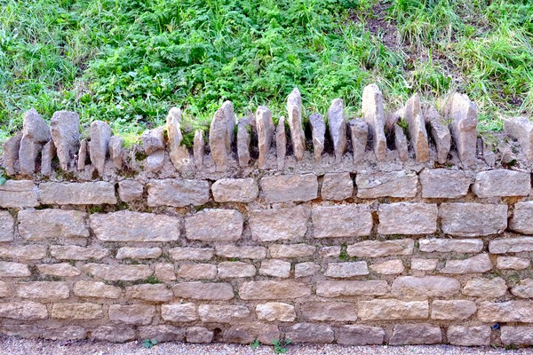 Barbed Stone Wall 2 Print