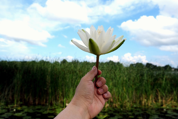 Gift to the Sky Print