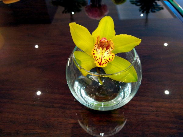 Glass Bloom 2B Print