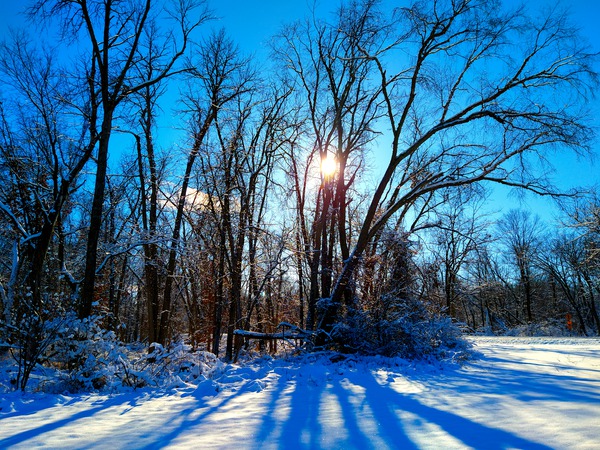 Winter Wonderland 2 Print