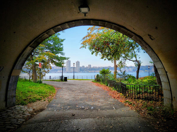  Into Autumn Light Print