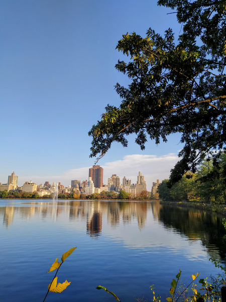 Framed Reflections – Central Park Digital Download