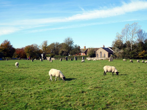 Grazing Fields of Avebury Henge and Stone Circles  Print