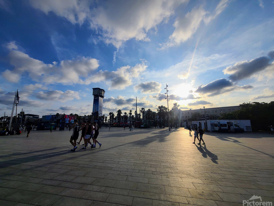 Geometry of Light and Stride  Imprimer