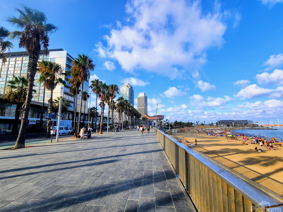 Barcelona Beach: Where the City Meets the Sea  Print