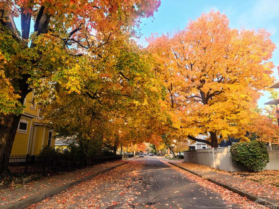 Fall Over the Road: Whispers of Fall  Print