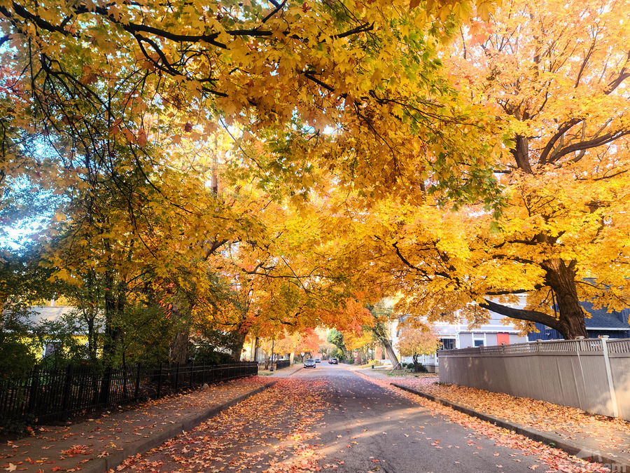 Fall Over the Road  Print