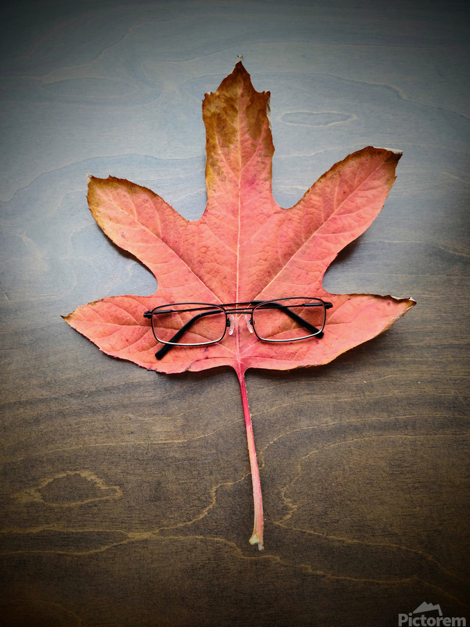 Losing Sight of Fall  Print