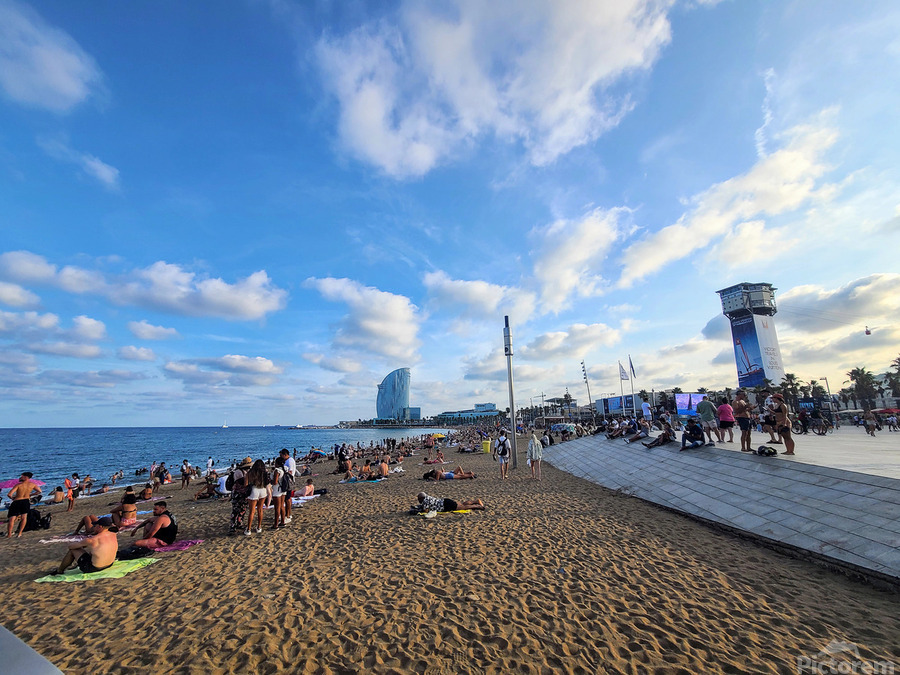 The Soft Chaos of Summer  Print