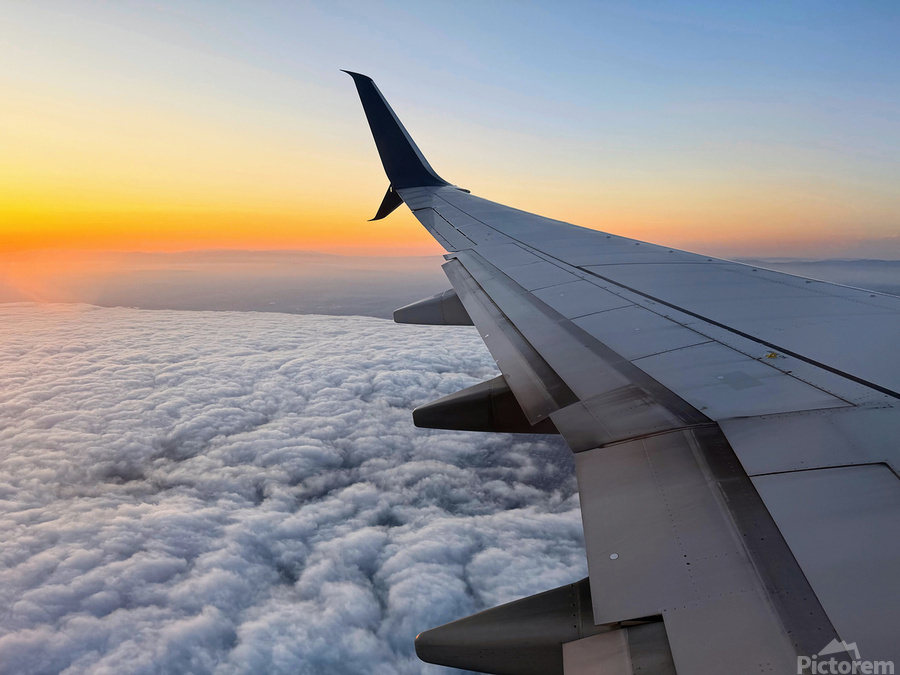 Pillowalk over San Francisco-Spring 2025  Print