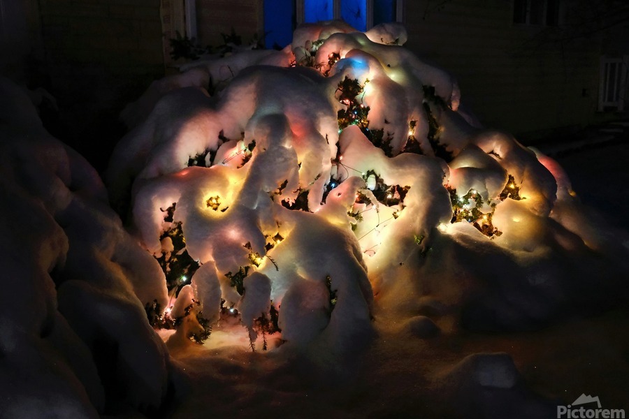 Frozen Christmas 2  Print