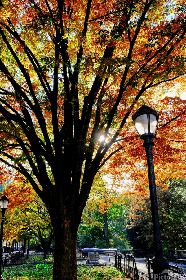 A Stroll in Color  Print