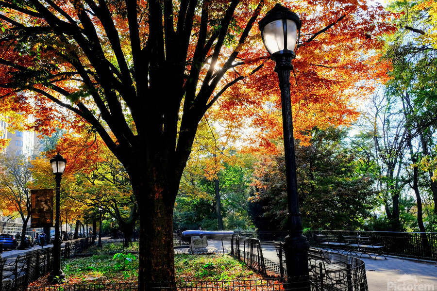 Autumn Radiance  Print