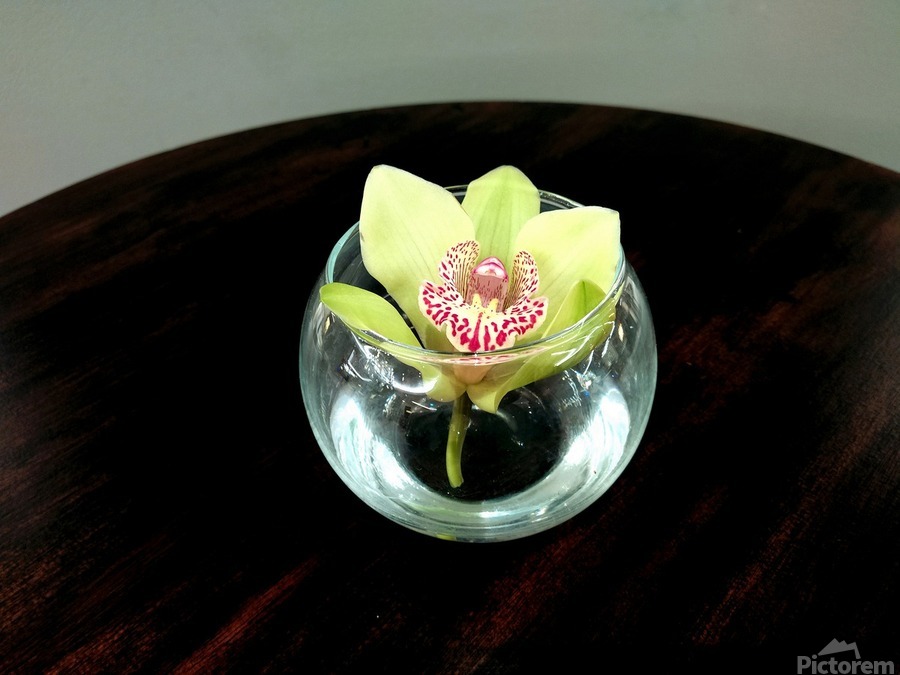 Glass Bloom 2  Print