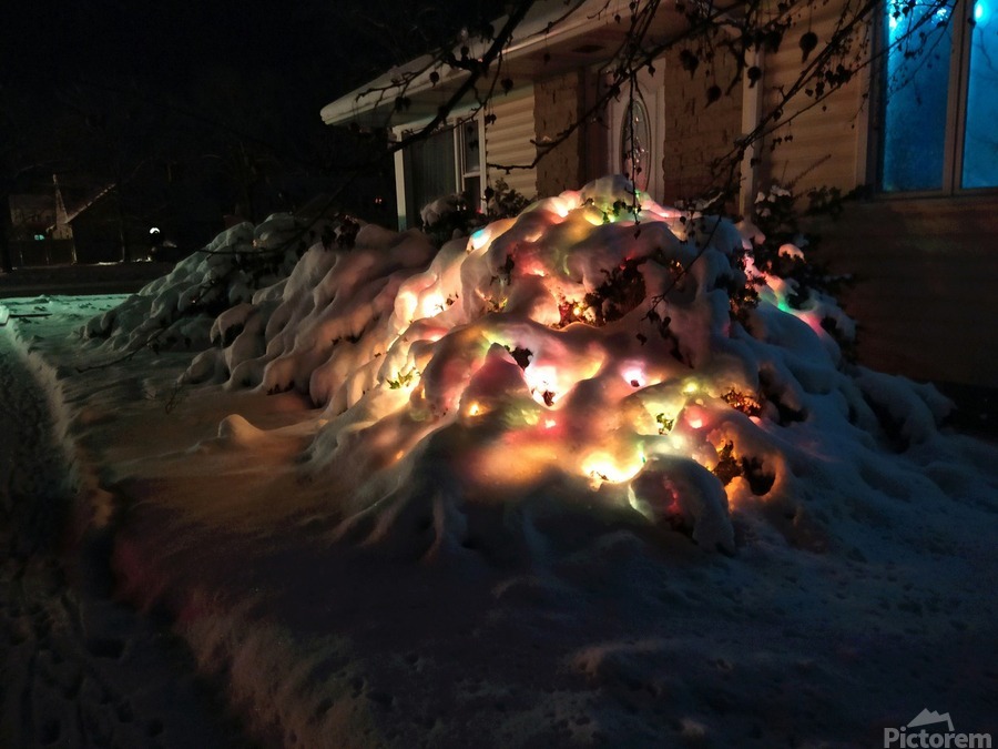 Frozen Christmas  Print