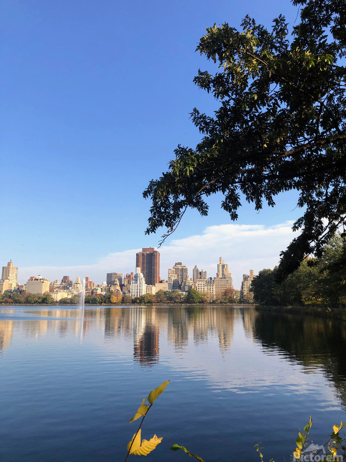 Nature’s Window to the City  Print