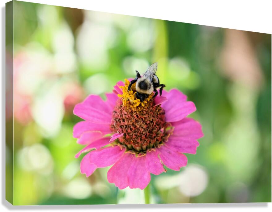 Tiny Architect of the Bloomworld Canvas Print