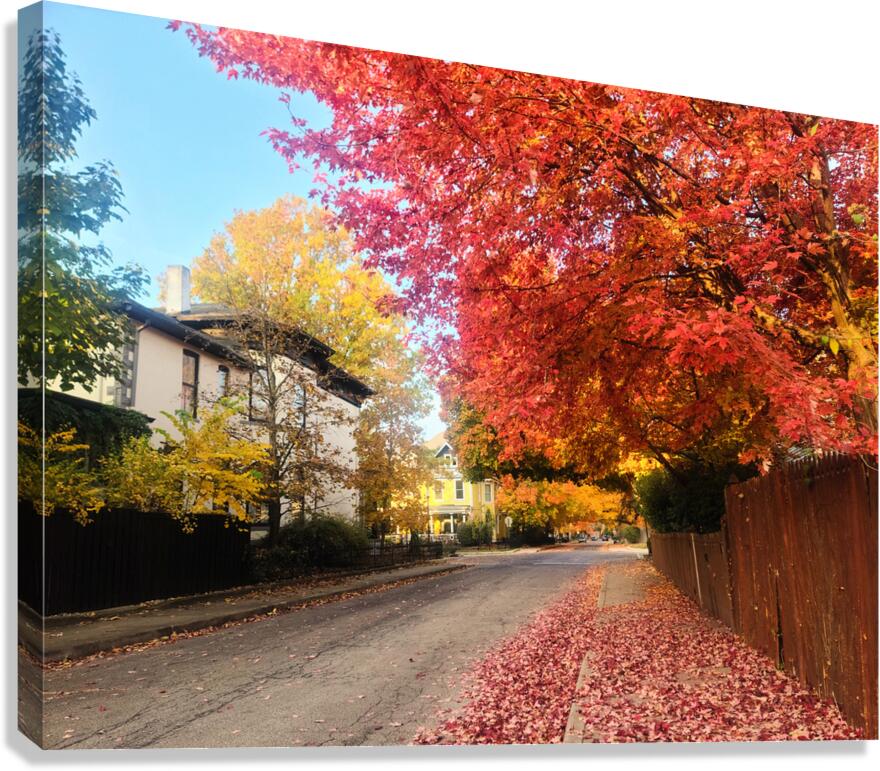 Fall Over the Fence - Autumn’s Embrace  Canvas Print