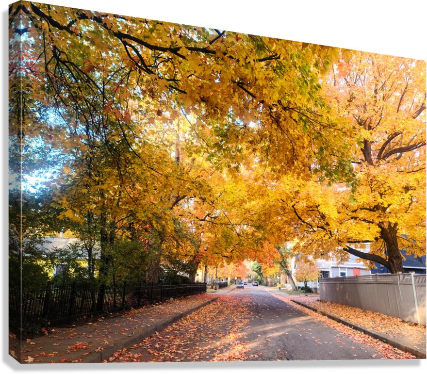 Fall Over the Road Canvas Print