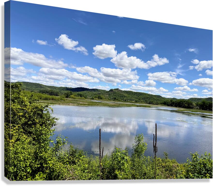 Serenity on the Surface Canvas Print